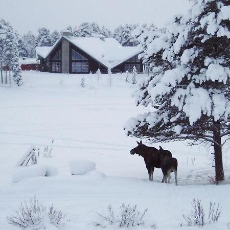 Arrenjarka Mountain Lodge Kvikkjokk Экстерьер фото